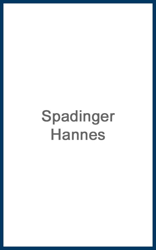 Spadinger Hannes