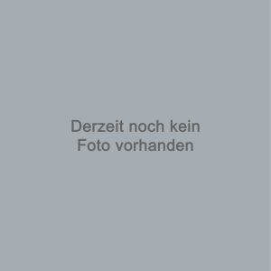 waizenauer web